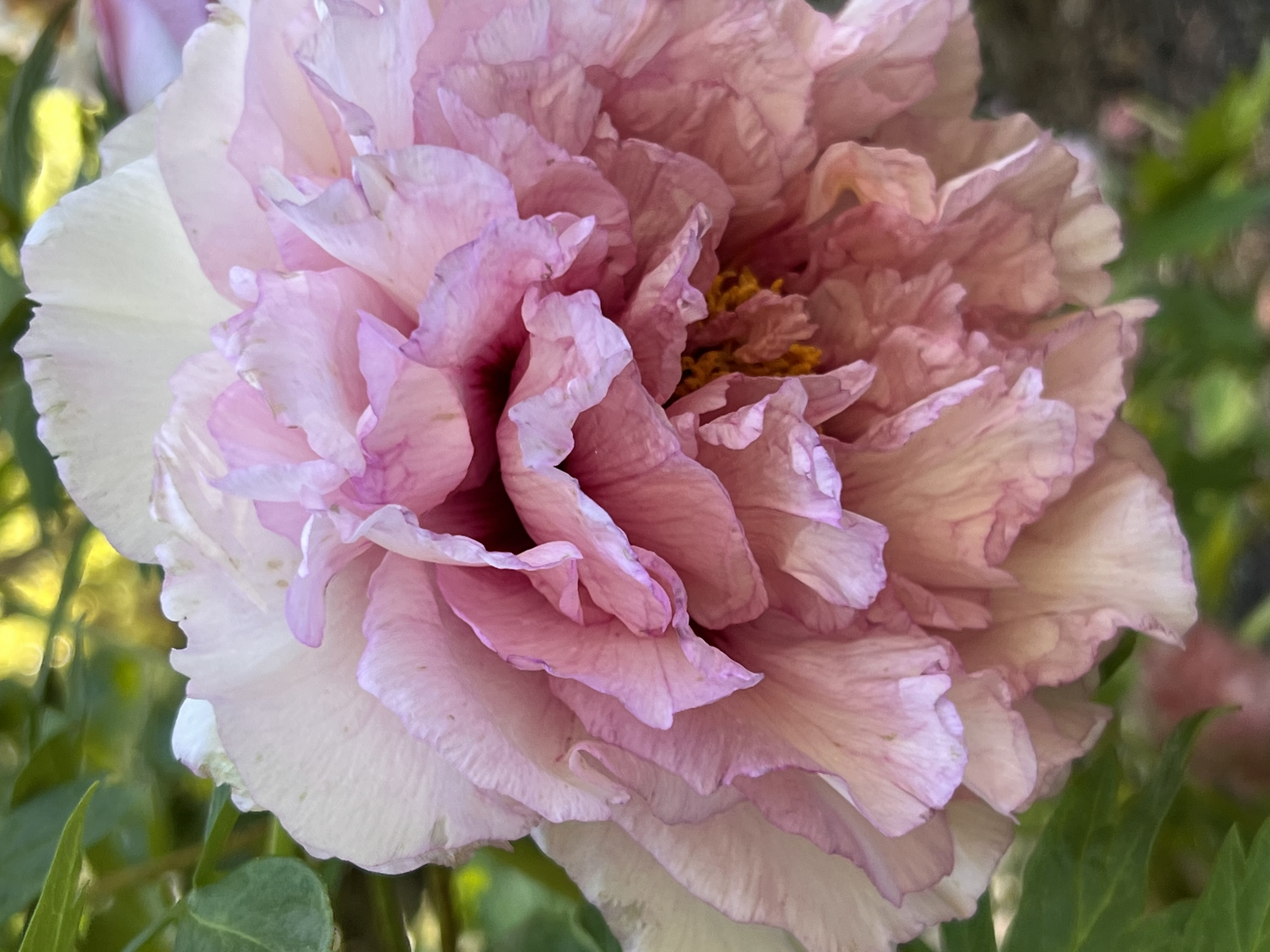 ./2023/05 - Toni Adventures/IMG_3131.JPG